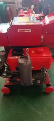 Diesel Chuff Cutter for Silage and Hay - 2