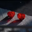 Tangzu Red Lion IEMs - In-Ear Monitors - 4