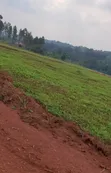 Titled Estate Plots for Sale in Busukuma - 4