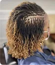 Natural Micro Locs - Permanent & Temporary - 2