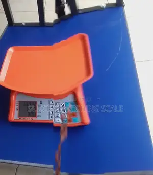 Digital Weighing Scale - Brand New