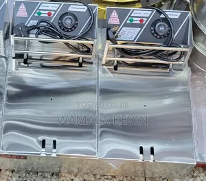 Stainless Steel Electric Deep Fryer