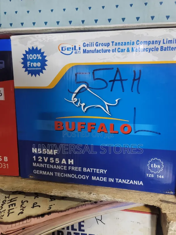 Buffalo N55MF 12V 55AH Maintenance-Free Car Battery - 1