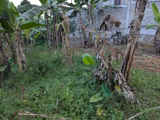 Titled Land for Sale in Seeta-Namuganga - 1