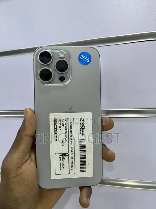 Apple iPhone 16 Pro Max 256GB Gray - 1