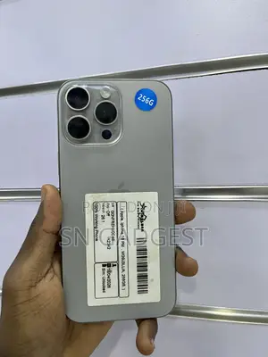Apple iPhone 16 Pro Max 256GB Gray