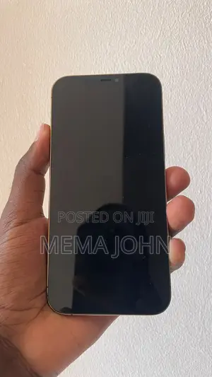 Apple iPhone 12 Pro Max 128GB Rose Gold