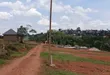 Prime Plots for Sale at Namusera~Kakunyu, Wakiso - 2