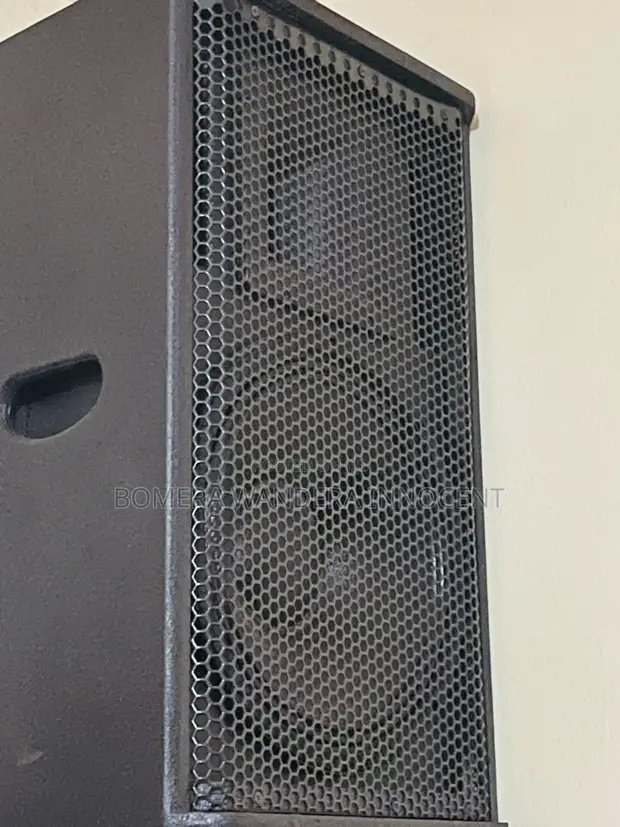 Accurian 1800W RMS 15-inch PA Speakers (Pair) - 1
