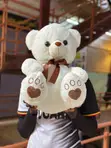 50cm Teddy Bears - 2