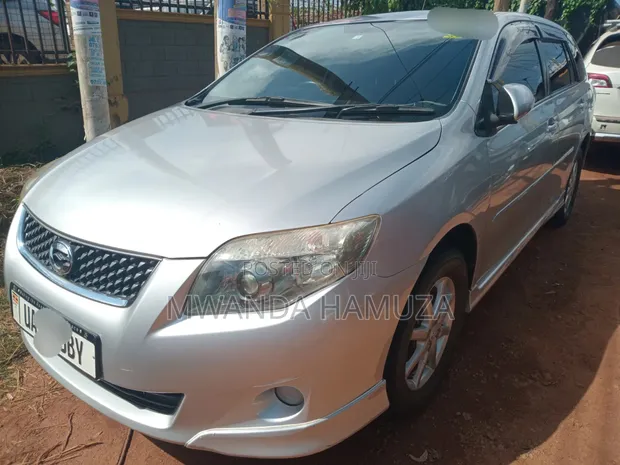 Toyota Corolla Fielder 2010 Silver - 1