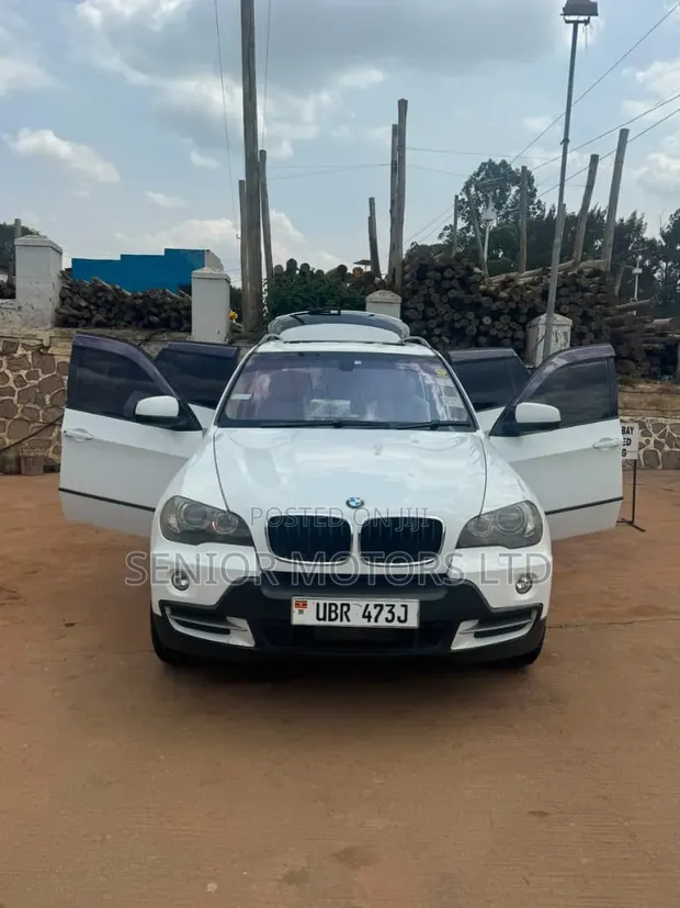 BMW X5 2010 White - 1