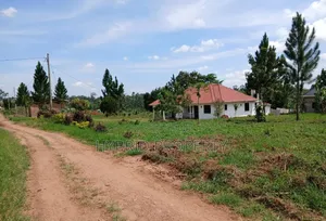 Prime Plots for Sale in Nampunge, Kakiri - Hoima Road