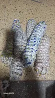 Heavy Duty Cow Ropes - 8 Metres - 2