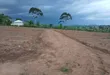 Prime Plots for Sale at Mwera~Kakiri Nature Land Estate - 2