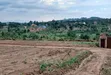 Prime Plots for Sale at Mwera~Kakiri Nature Land Estate - 3
