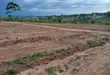 Prime Plots for Sale at Mwera~Kakiri Nature Land Estate - 4