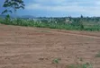 Prime Plots for Sale at Mwera~Kakiri Nature Land Estate - 5