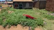 Land for Sale in Butabika-Luzira - 2