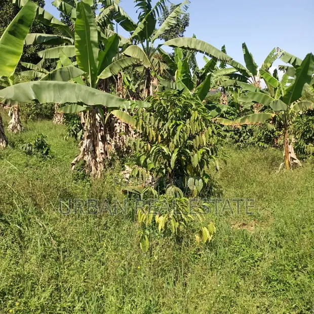 Kansangati Residential Land for Sale - 1