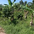 Kansangati Residential Land for Sale - 2