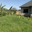 Kansangati Residential Land for Sale - 4