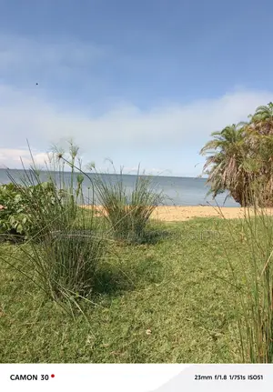 Beach Land for Sale - Kalangala Island