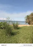 Beach Land for Sale - Kalangala Island - 1