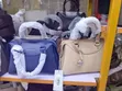 Chrisbella Handbag with Silver-Toned Charm - 1