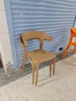 Single Molded Plastic Chairs - 2