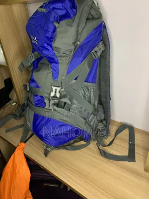 Bagco Blue and Gray Hiking Backpack