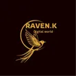 Graphics and Design Services by Raven - 3