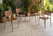 Orchidised Plastic Dining Chairs (Set of 4) - 1