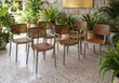 Orchidised Plastic Dining Chairs (Set of 4) - 2