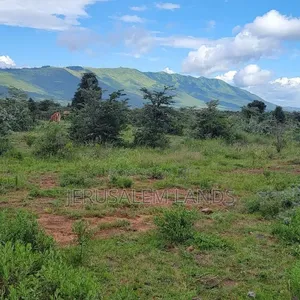 2.5 Sq Mile Farmland for Sale/Lease in Luwero, Kyankwanzi