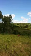 2.5 Sq Mile Farmland for Sale/Lease in Luwero, Kyankwanzi - 3