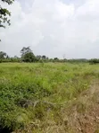2.5 Sq Mile Farmland for Sale/Lease in Luwero, Kyankwanzi - 5