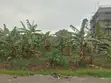 100x100ft Land with Ready Title in Wakiso Gombe - 3