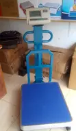 Heavy Duty Platform Weighing Scale - 600kg Capacity - 1