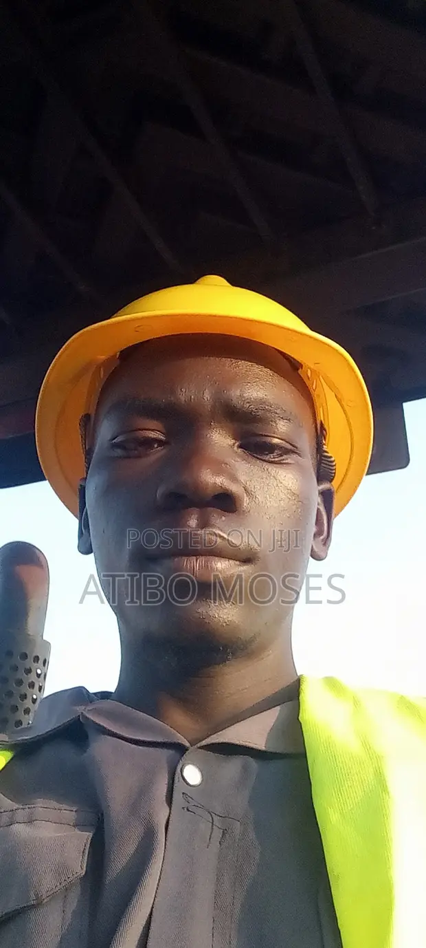 Independent Sales Agent - Moses - 1