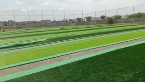 Artificial Grass Carpet - Quality Installation Available