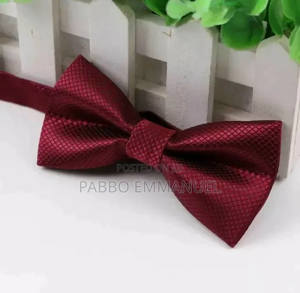 Gentle 2-in-1 Bow Tie & Suspenders Set - 1