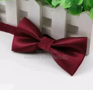 Gentle 2-in-1 Bow Tie & Suspenders Set