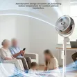 3-in-1 Air Circulation Mist Fan - 2