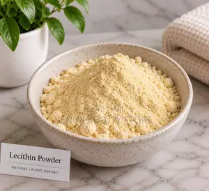 Lecithin Powder (O.S.F) 25g