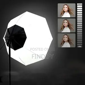 Octagon Softbox Light Diffuser 26"/70cm with 150W Bulb