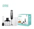 Winning Star 3-in-1 Hand Blender - 1