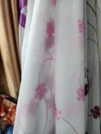 Home Interiors Multicolor Curtains - 2
