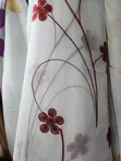 Home Interiors Multicolor Curtains - 4