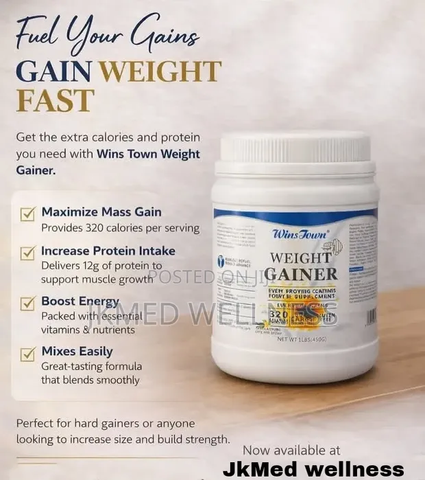 Wins Town Weight Gainer 450g - 1